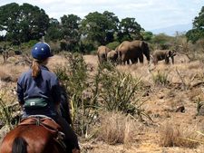 Tanzania-Tanzania-Kilimanjaro Big Game Trail